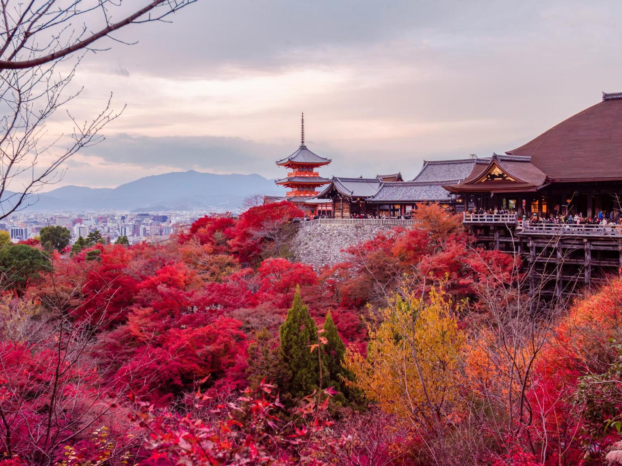 Stitch Hotel Kyoto Exterior photo